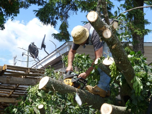 man removing garden debris |Landscaping Services | Landscaping Contractor | Shreveport Landscaping